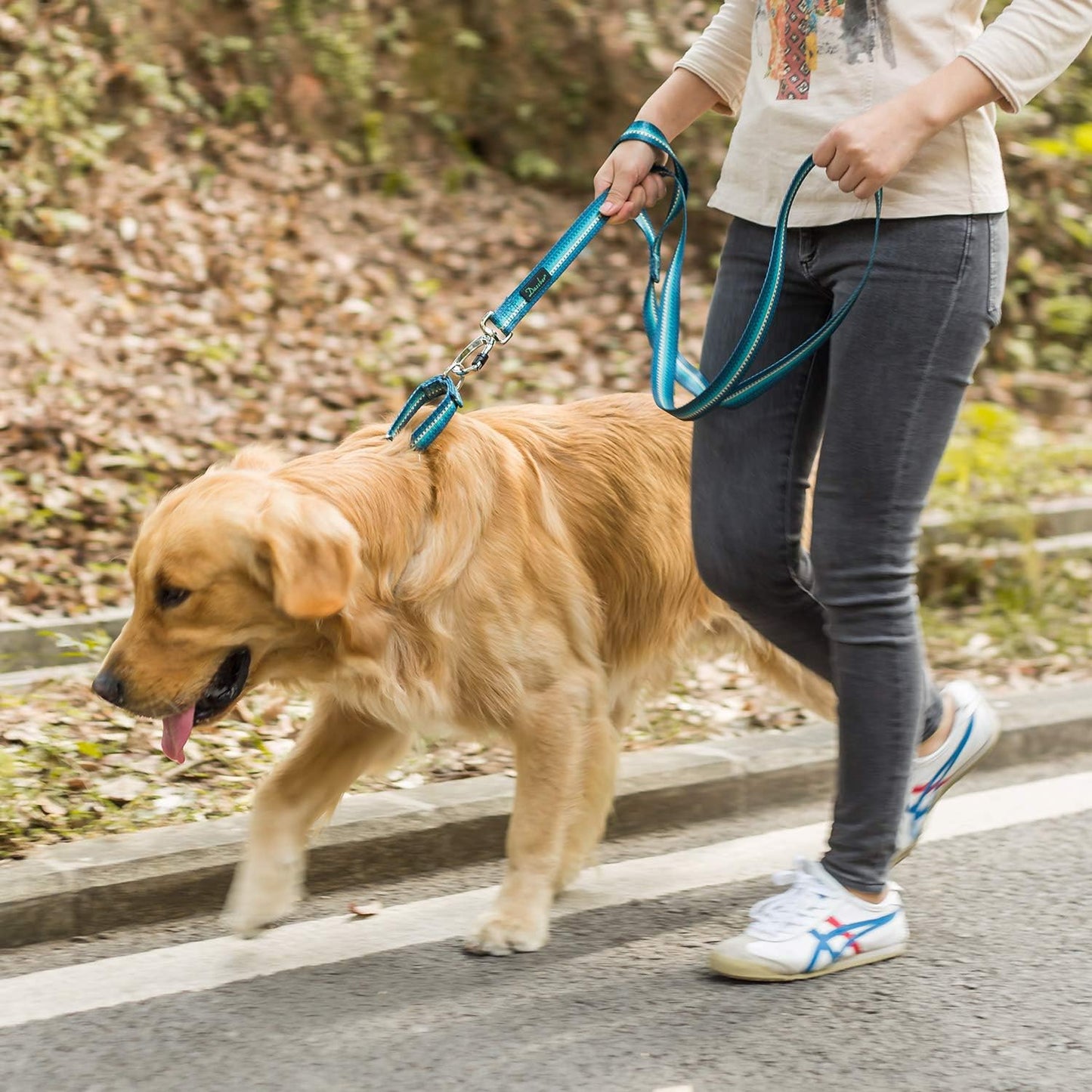 Martingale Collar Dog Collar No Pull Pet Collar Heavy Duty Dog Martingale Collars Silky Soft with Unique Geometric Pattern for Medium and Large Dogs (Large, Turquoise)