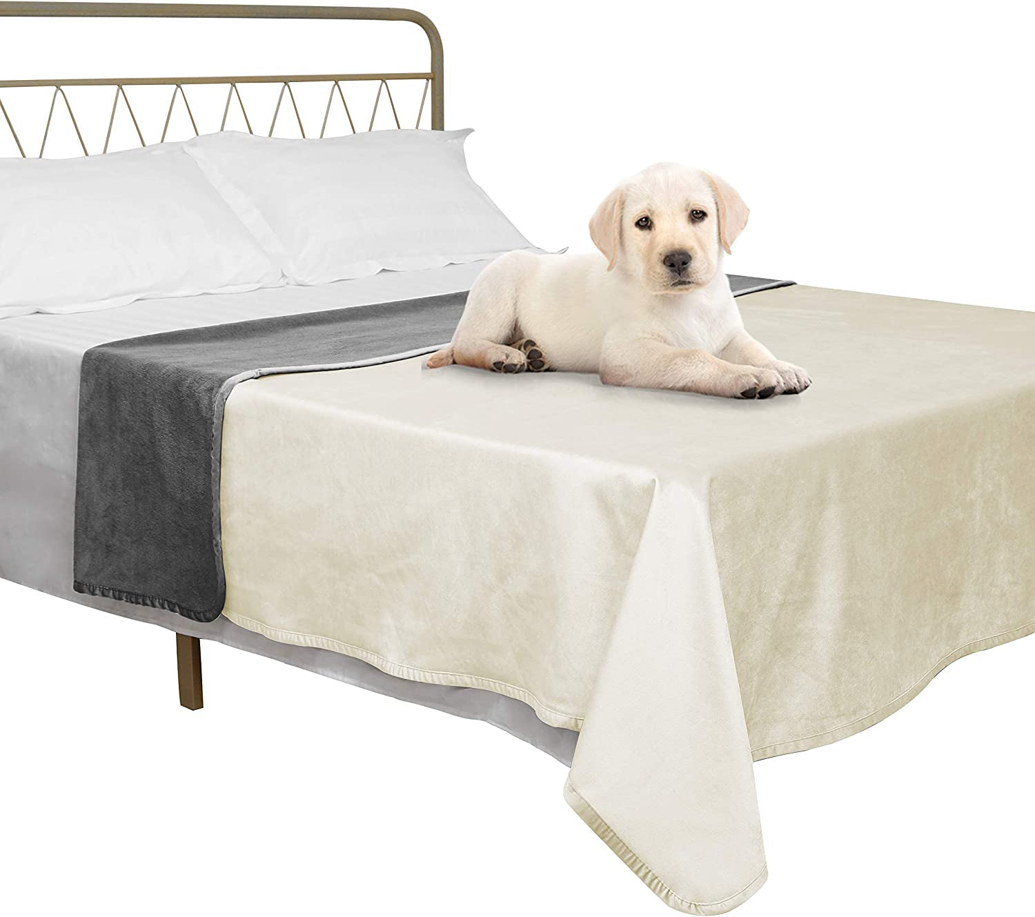 Pet Bed Blanket Reversible 100% Waterproof Velvet Super Soft for Sofa and Bed (40X60 Inches, Cream+Grey)
